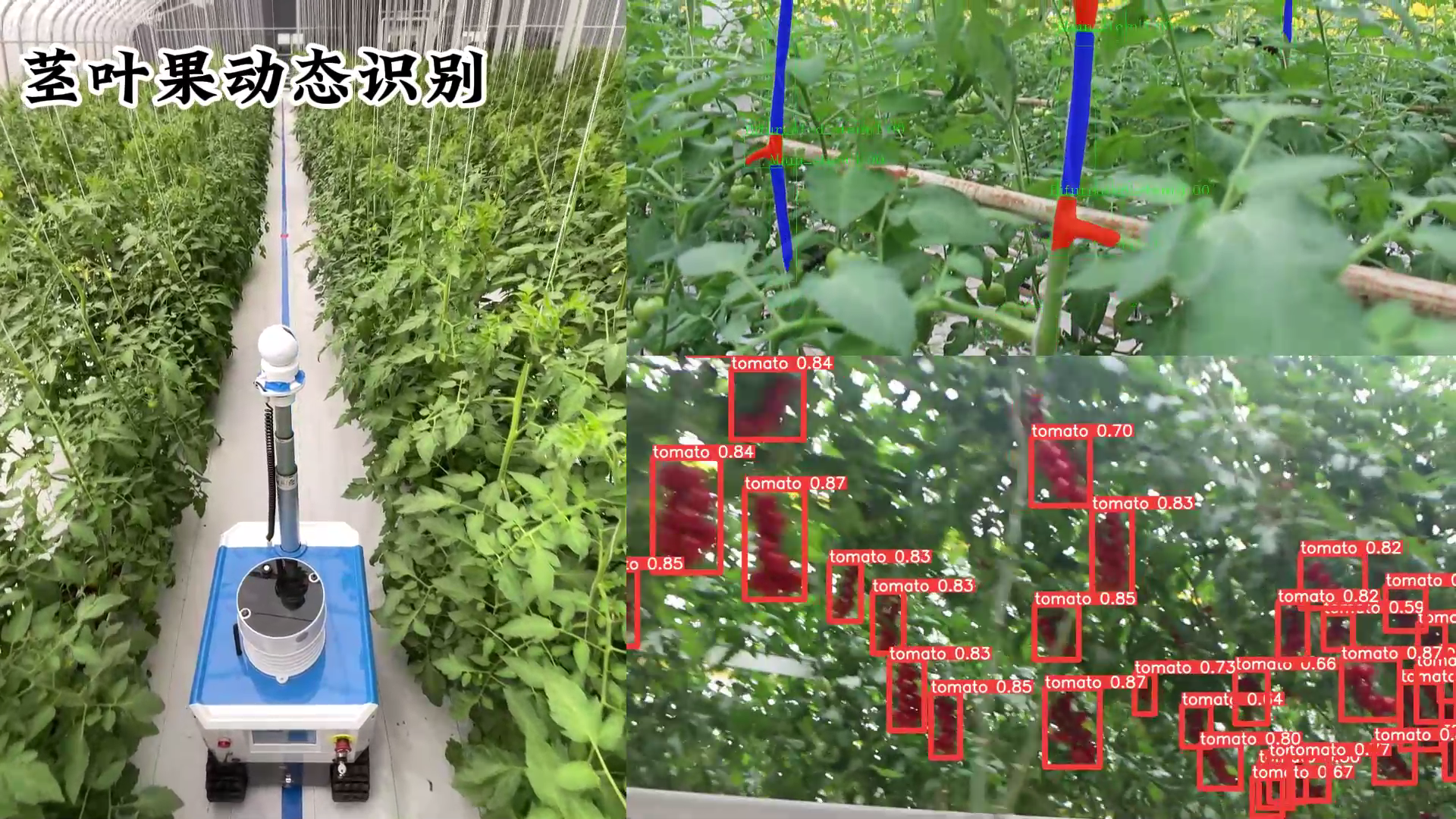 溫室生產巡檢機器人