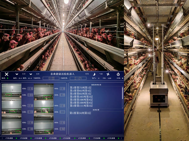 畜禽健康巡檢機器人