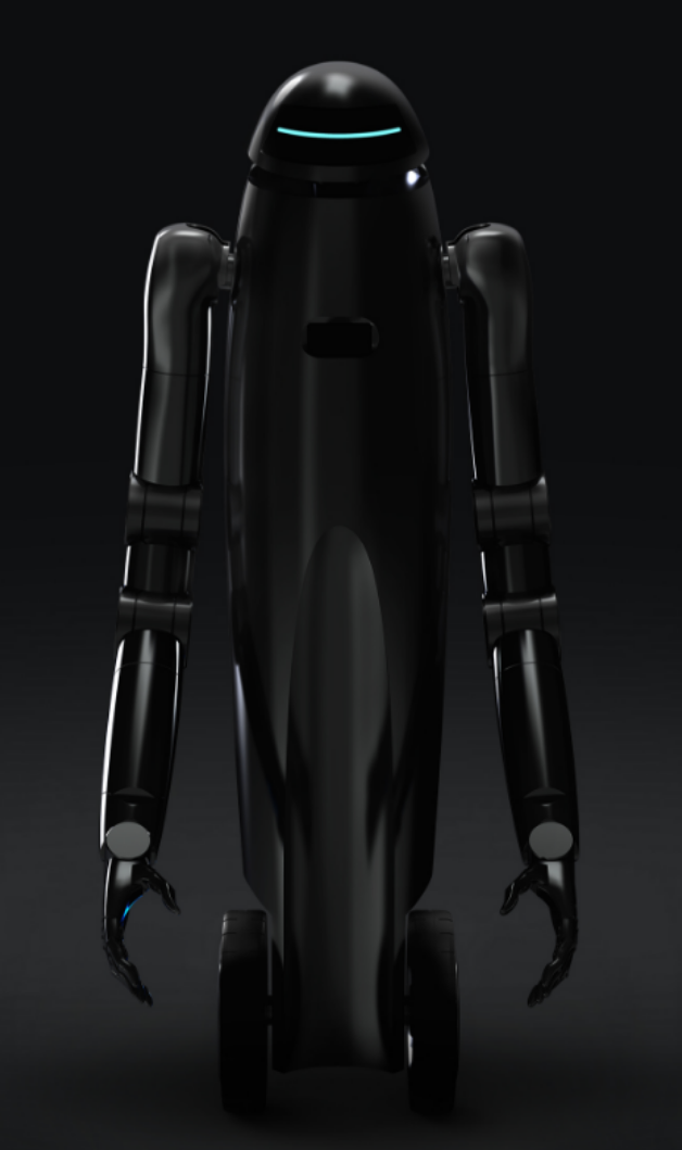 中堅燧石機器人